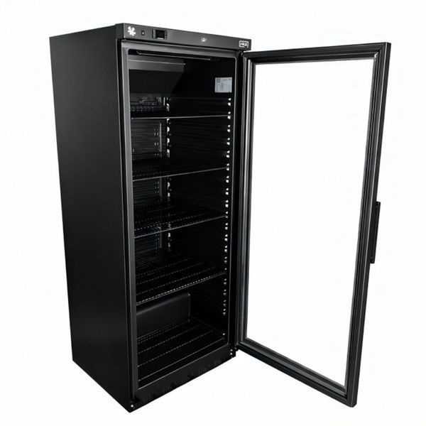Шкаф холодильный энергоэффективный BRILLIS EG-HR400G.B EG-HR400G.B фото